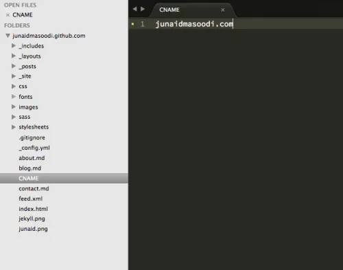 Cname representation by Junaid Masoodi